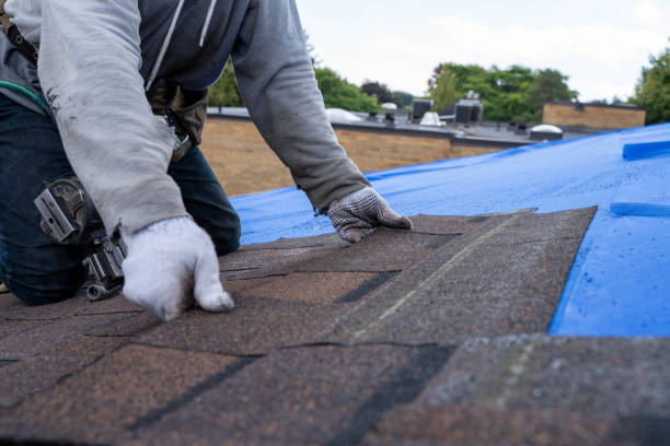 Best Roof Gutter Cleaning  in Plainville, KS